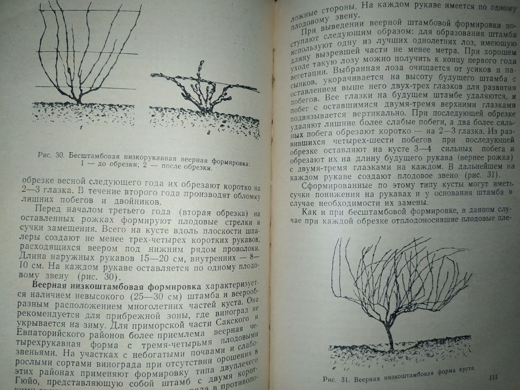 книга: СТЕПНОЕ ВИНОГРАДАРСТВО 1960г. - фото фото фото 8