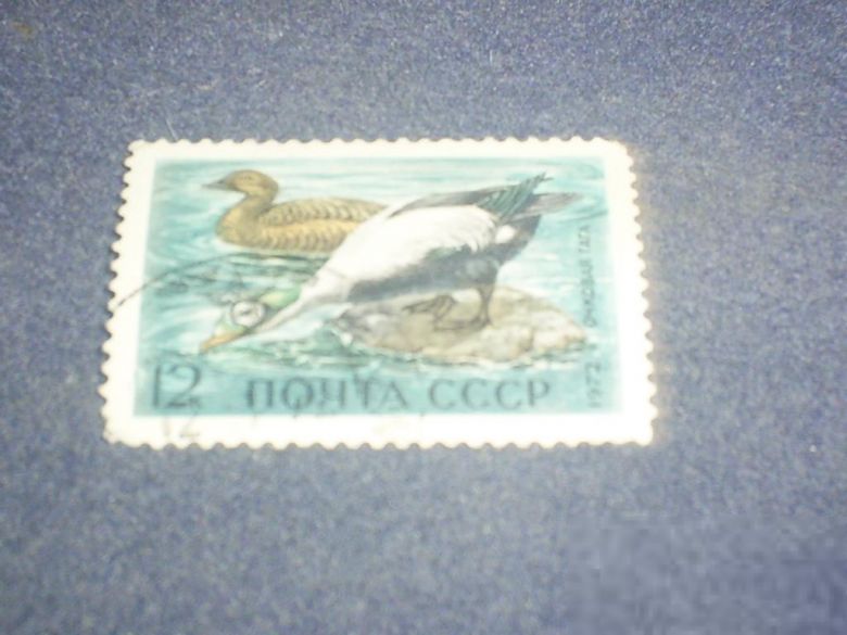 СССР-1972 г.-фауна - фото фото фото 0
