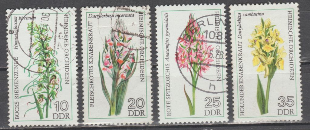 Германия Німеччина ГДР 1976 флора цветы - фото фото фото 0