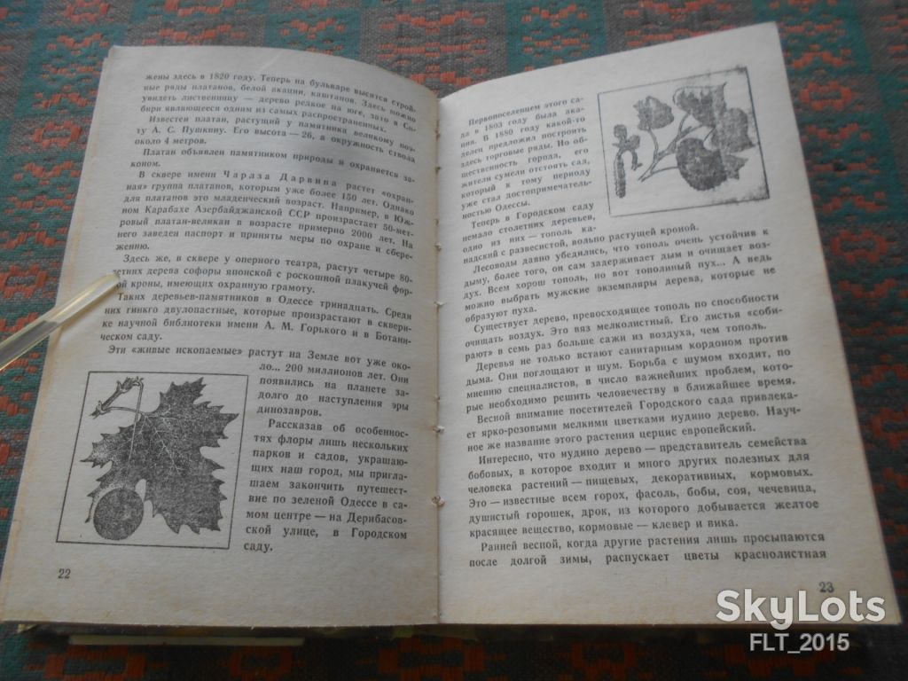 Л.Шевчук   Сокровища  южного  края    1982 г. - фото фото фото 3