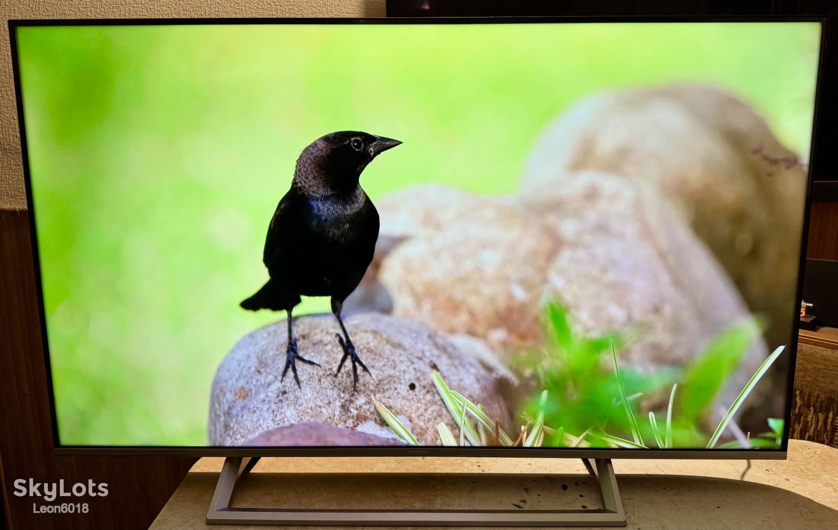 HISENSE H50B7500/SMART/4K - фото фото фото 1