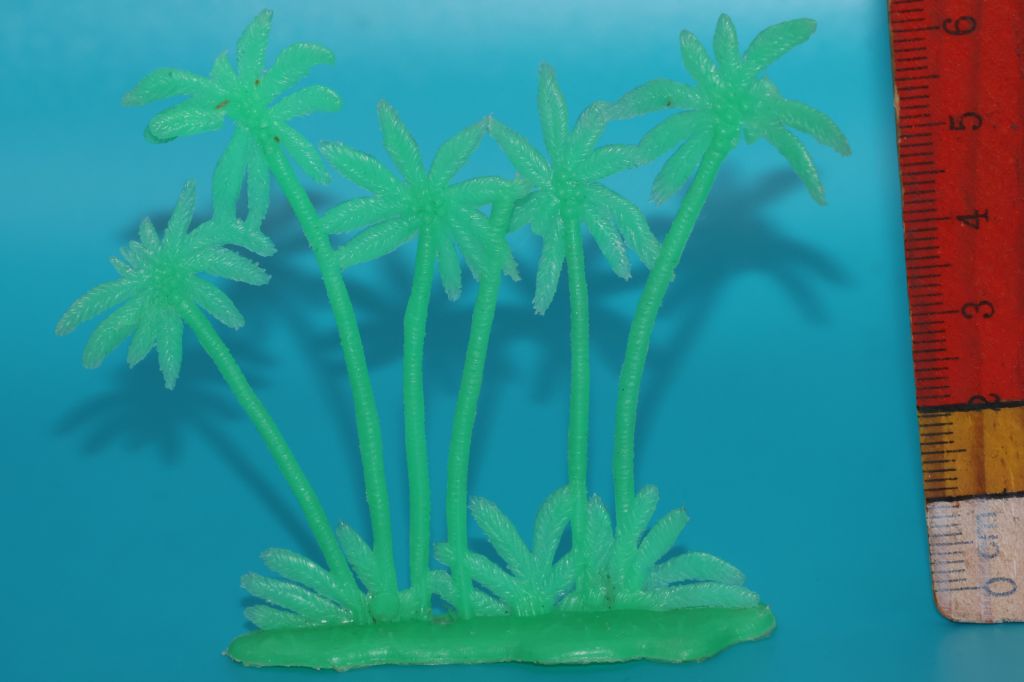 ПАЛЬМИ дерево Гонконг - фото фото фото 0