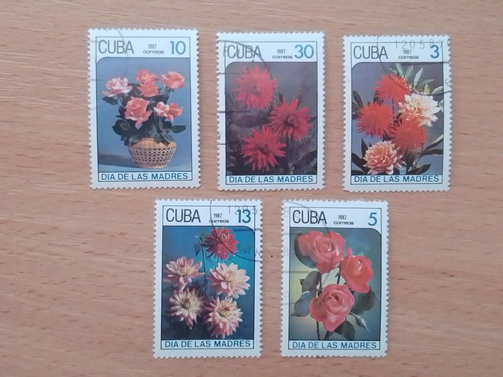 Куба, цветы - фото фото фото 0