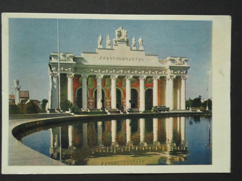 МОСКВА. 1954.  Выставка. Павильон “Животноводство”. Чистая. - фото фото фото 0
