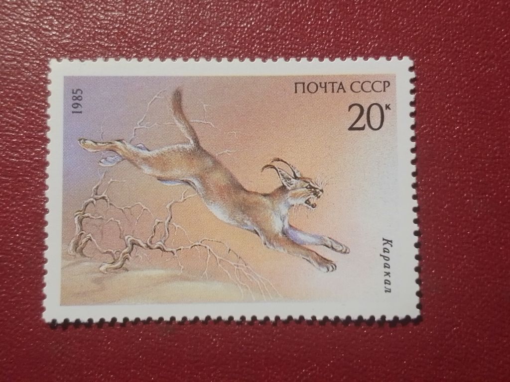 Распродажа, СССР - фото фото фото 0
