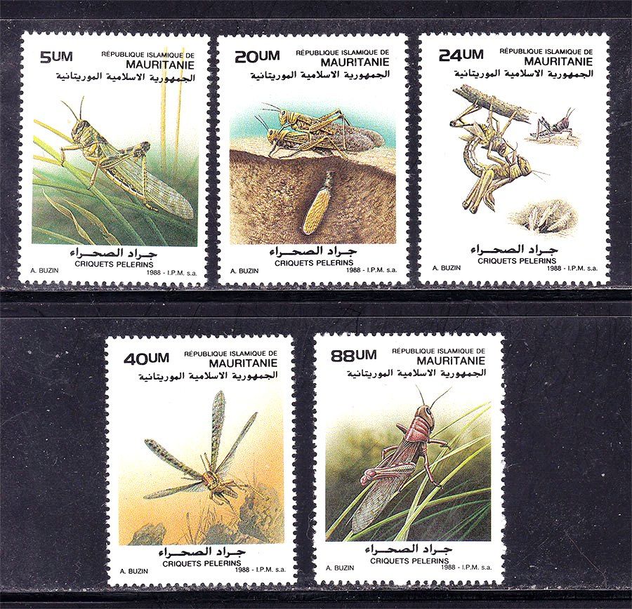 Мавритания 1988 г MNH - насекомые - - фото фото фото 0