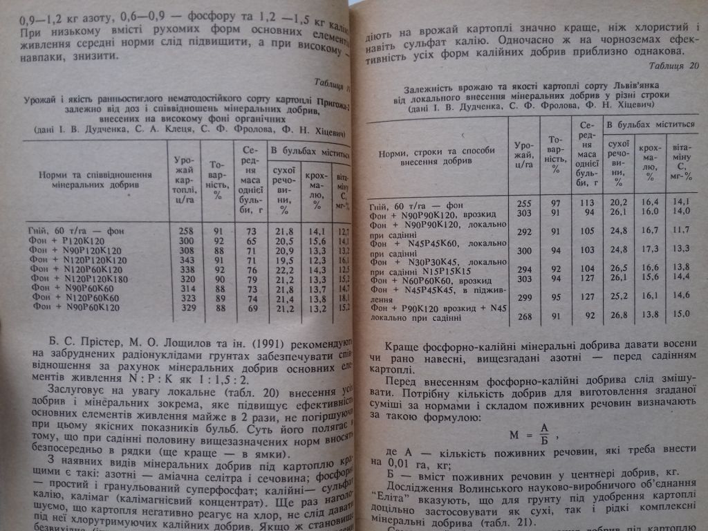 Картопля на городах, присадибних і дачних ділянках. - фото фото фото 3