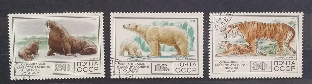 СССР 1977 г - Фауна СССР, гаш - фото фото фото 3