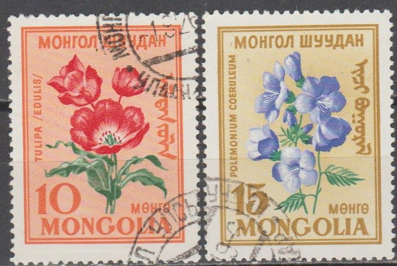 Монголия 1960 флора - фото фото фото 0