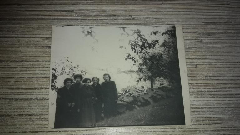 Фотокарточка 1950-60 Девушки на природе - фото фото фото 0