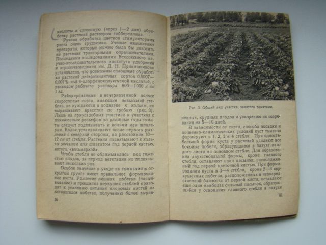 Брошюра Томаты, 1966 г. - фото фото фото 5
