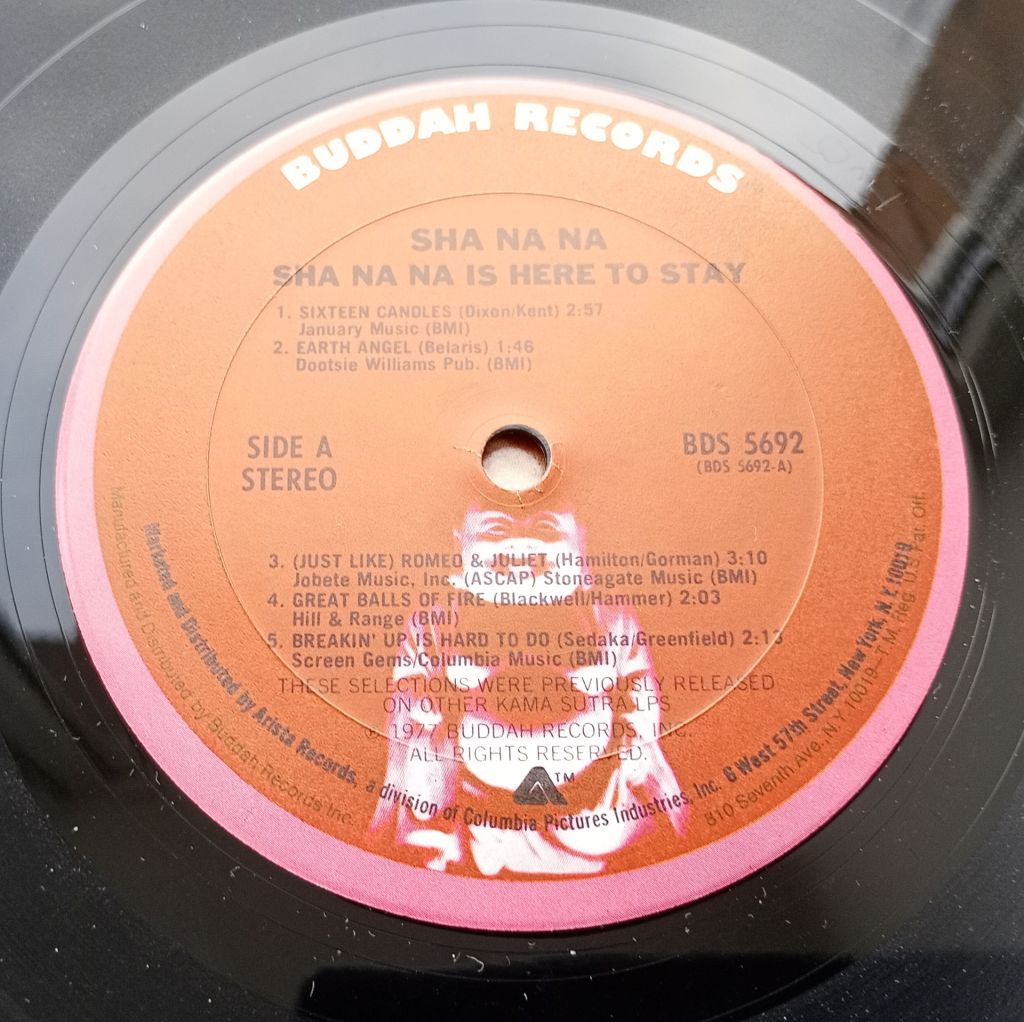 SHA NA NA Is Here To Stay LP VG++/EX - фото фото фото 2