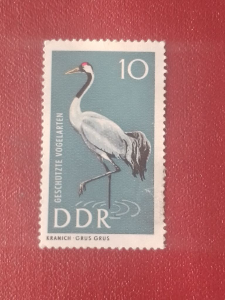 Распродажа, ГДР - фото фото фото 0