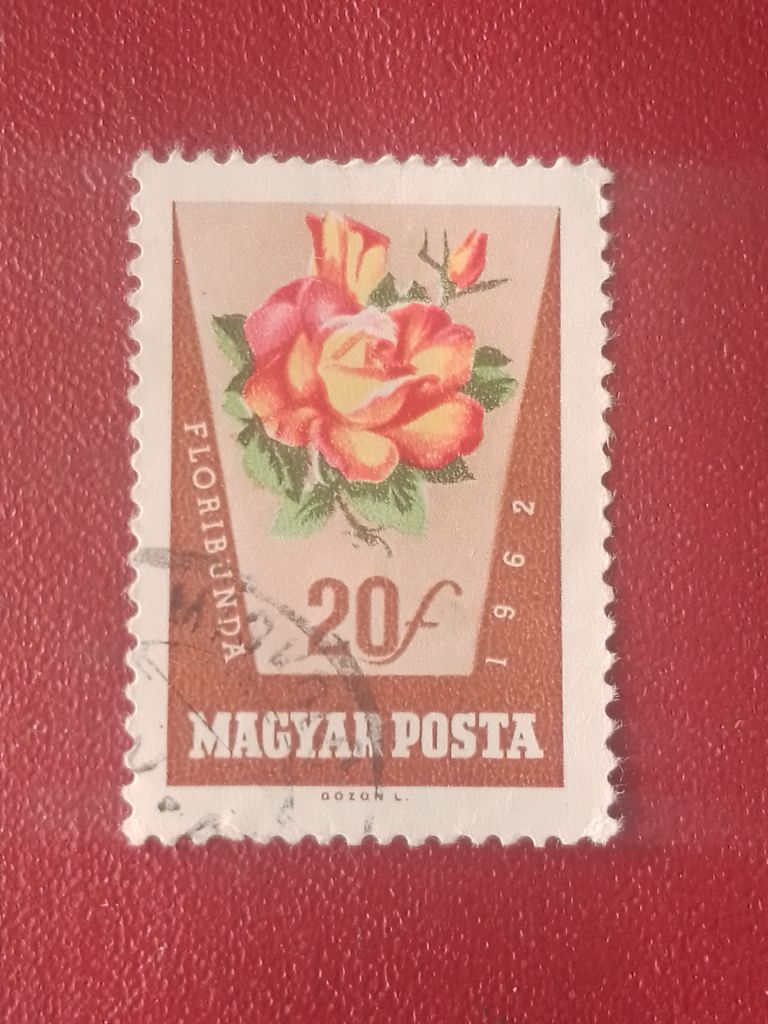 Распродажа, Венгрия - фото фото фото 0