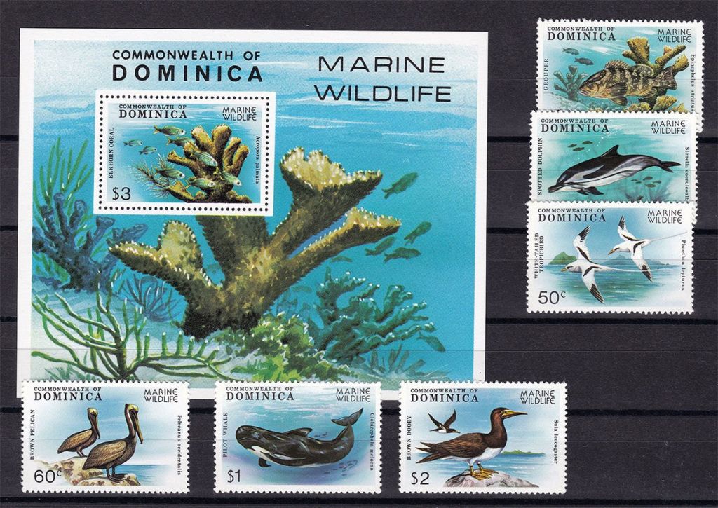 NM Фауна .  Доминика 1979 г  ** -  кораллы - блок + марки - фото фото фото 0