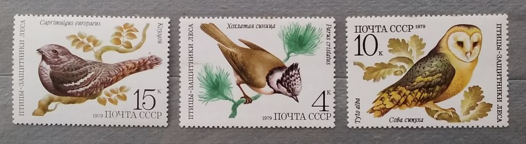 СССР 1979 г - Птицы защитники леса, негаш., 12 шт  (см.фото) - фото фото фото 6