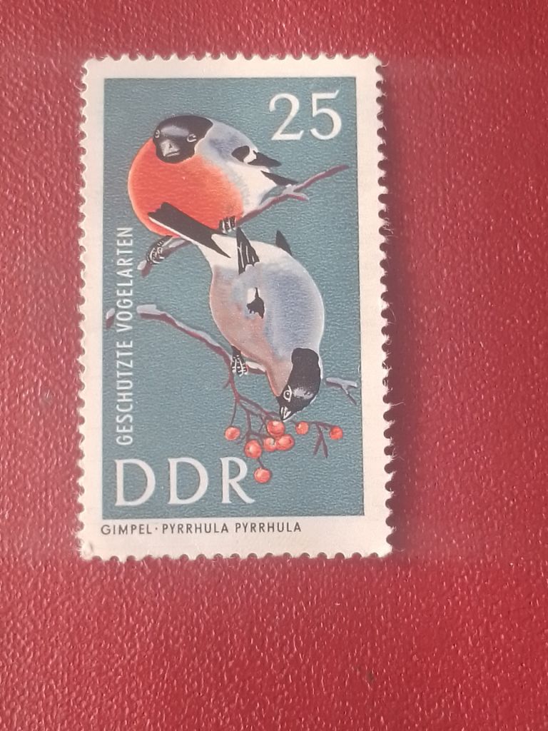 Распродажа, ГДР - фото фото фото 0