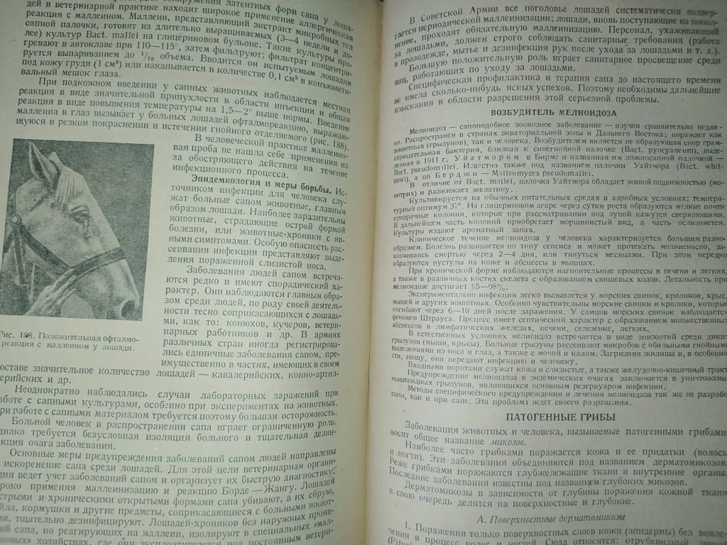 книга: УЧЕБНИК МЕДИЦИНСКОЙ МИКРОБИОЛОГИИ. II-e изд. 1949г.; - фото фото фото 9