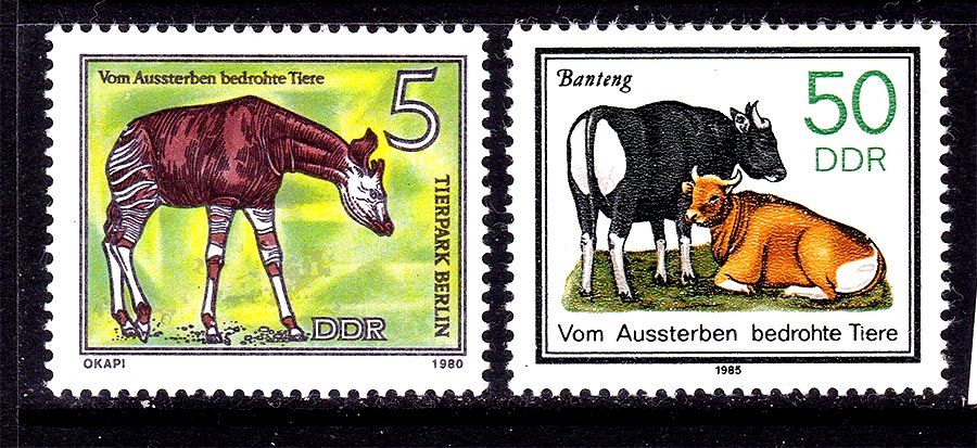 NM Фауна  ГДР / DDR 1980 г MNH - - фото фото фото 0