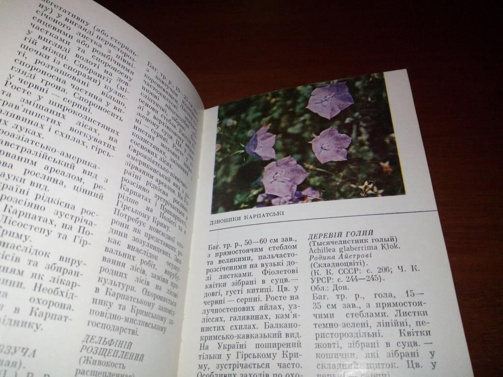 Заверуха, Шемшученко РОСЛИНИ ЧЕРВОНОЇ КНИГИ - фото фото фото 4