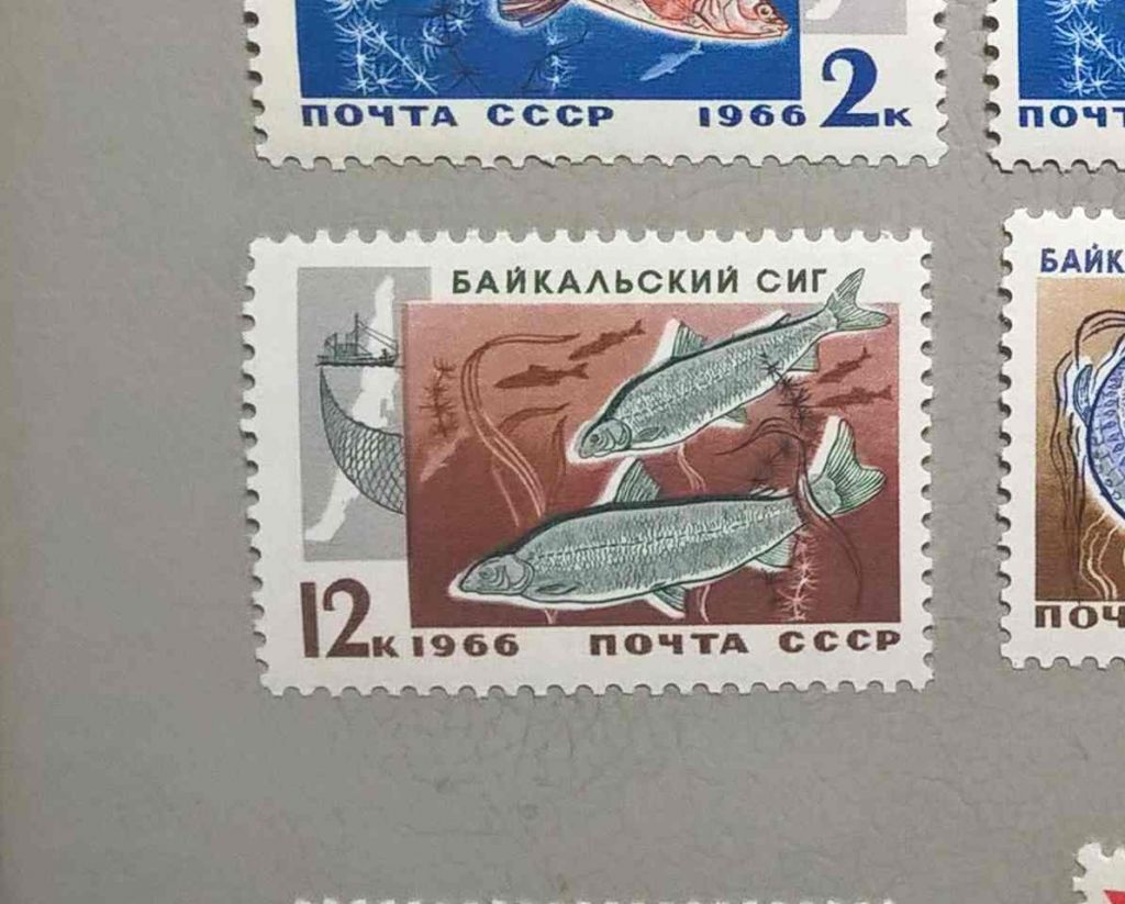 СССР Фауна Рыбы 1966 - фото фото фото 0