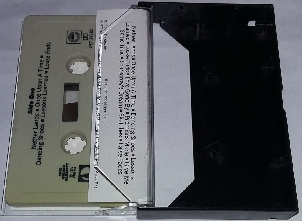 DAN FOGELBERG Nether Lands. Cassette     (US) - фото фото фото 1