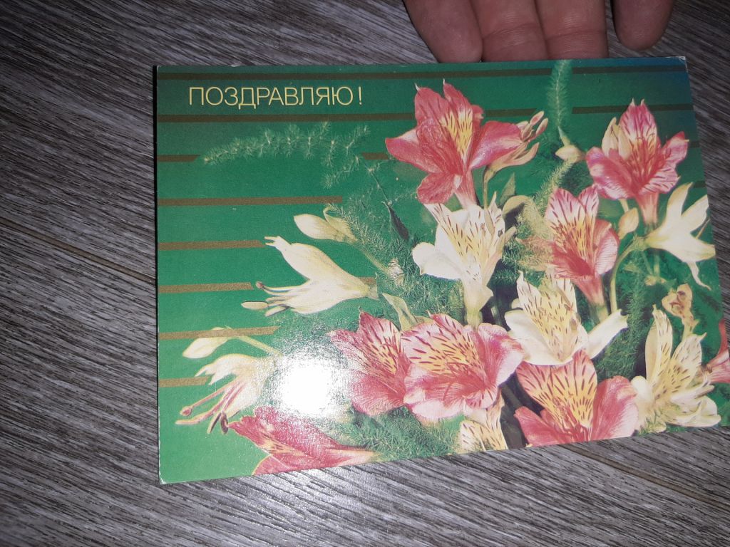 Открытка СССР Поздравляю  1987г. - фото фото фото 0
