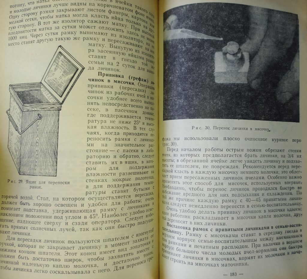 книга: ПЧЕЛА И ЗДОРОВЬЕ ЧЕЛОВЕКА II-e изд. 1964г. - фото фото фото 7