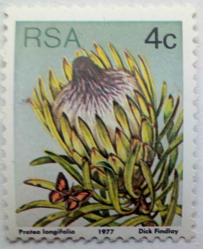 ЮАР 1977 Цветы, флора, 4с., MNH - фото фото фото 0