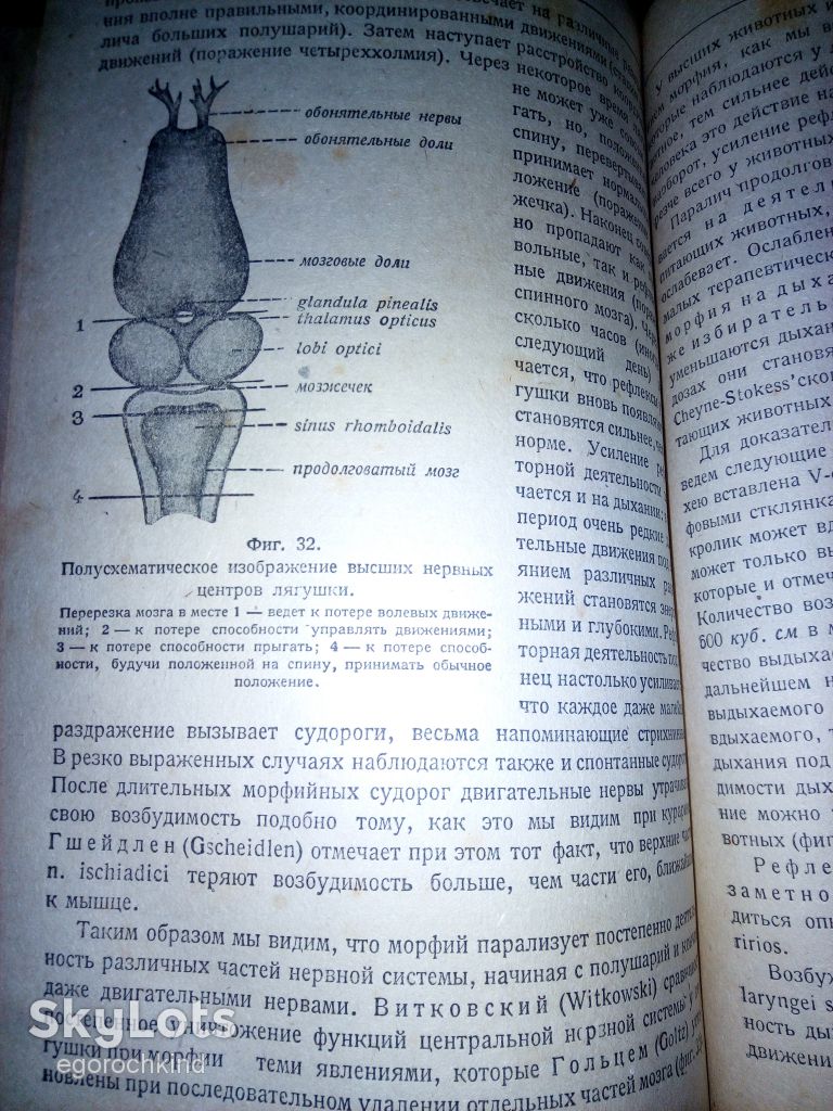 книга: ОСНОВЫ ФАРМАКОЛОГИИ часть I-ая 1933г. - фото фото фото 4