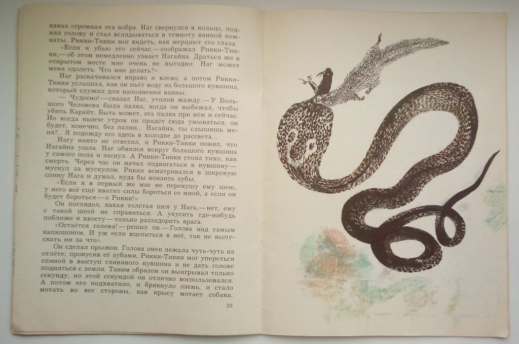Р. Киплинг Рикки-Тикки-Тави. Рисунки Н. Чарушина 1980г. - фото фото фото 6