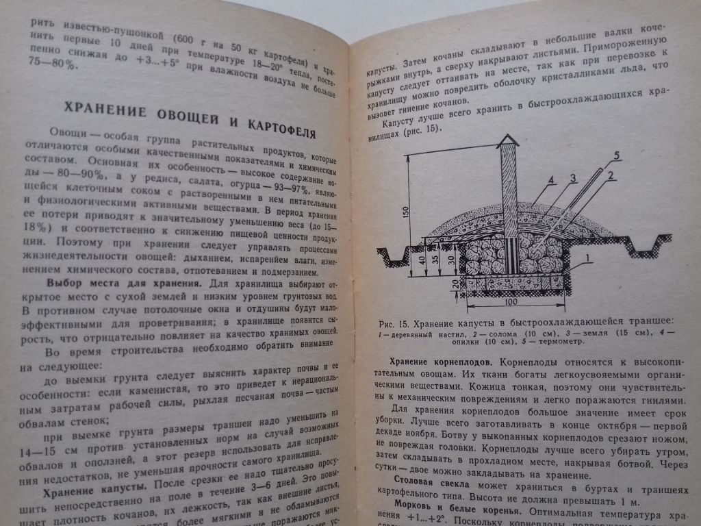 Огород у дома. - фото фото фото 5