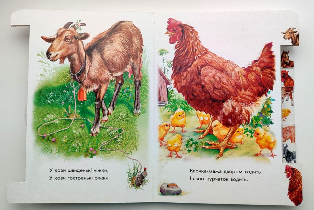 Олеся Квітка. На подвір'ї. Малятам про звіряток. Книжка - картонка. Харків: Ранок 2018р. - фото фото фото 2