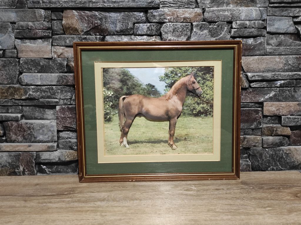 Вінтажна об'ємна аплікація - фото фото фото 0