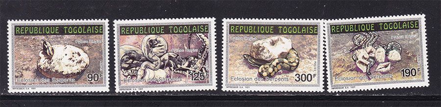 Фауна .Того 1991 г  MNH - серия - фото фото фото 0