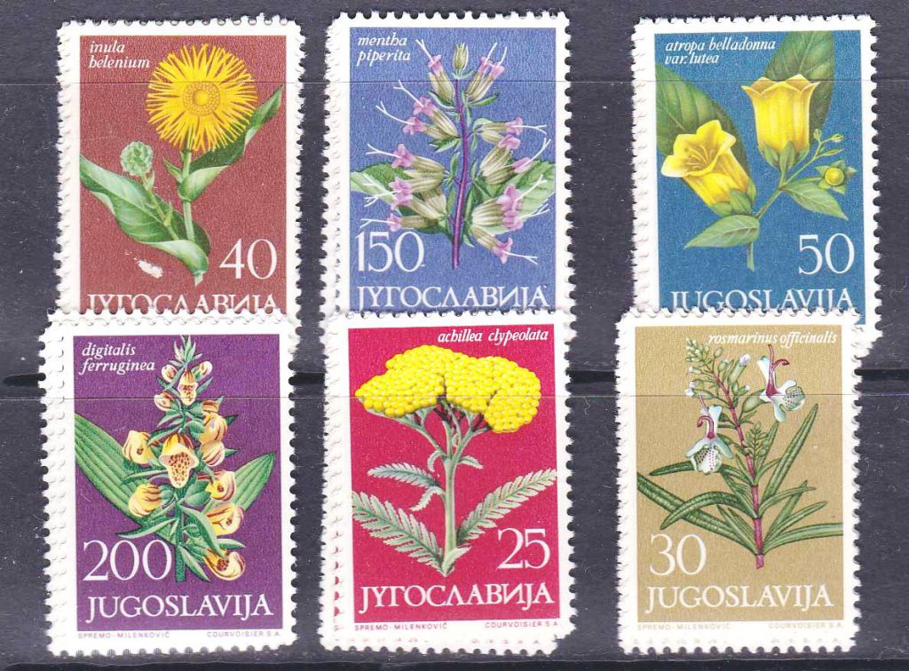 EU Югославия  1965 г MNH - флора - фото фото фото 0