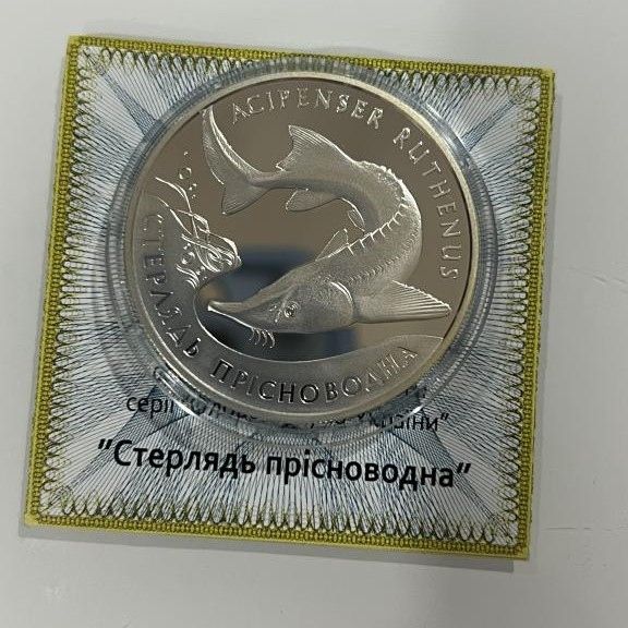 Срібна монета НБУ Стерлядь прісноводна 10 гривень 2012 року у банківському стані! - фото фото фото 1