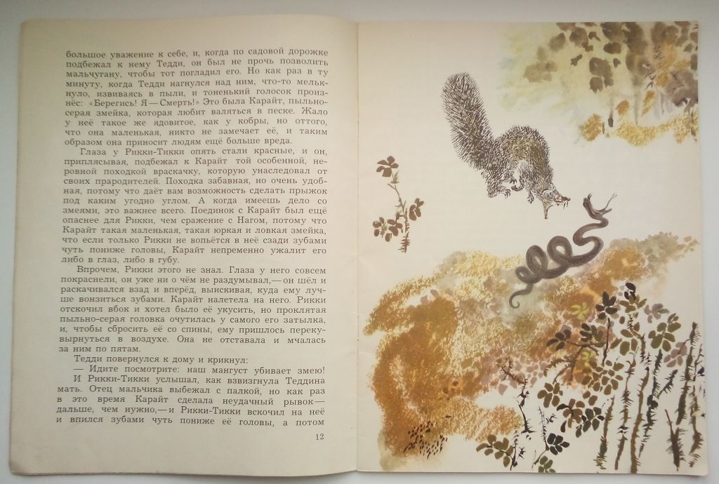 Р. Киплинг Рикки-Тикки-Тави. Рисунки Н. Чарушина 1980г. - фото фото фото 2