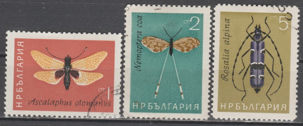 Болгария Болгарія 1964 фауна насекомые - фото фото фото 0