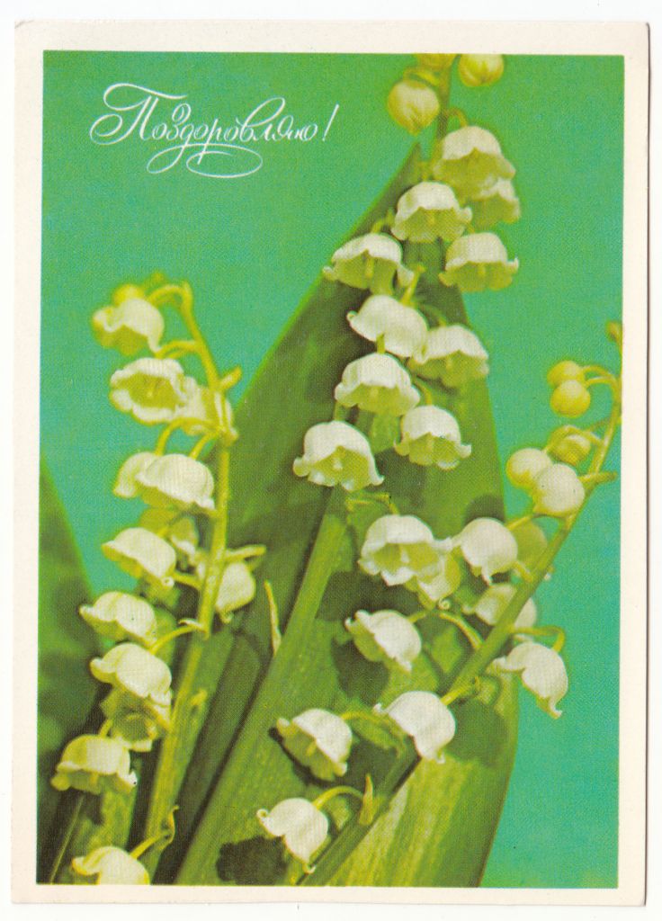 Поздоровляю 1978 Смородського Р12 - фото фото фото 0