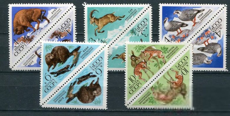 СССР  Лот  g-056 MNH - фото фото фото 0