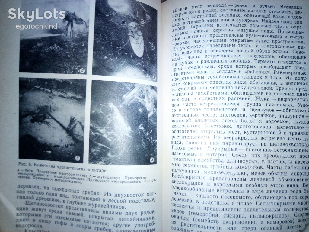 книга брошюра: МИР ЯНТАРЯ 1988г. - фото фото фото 6