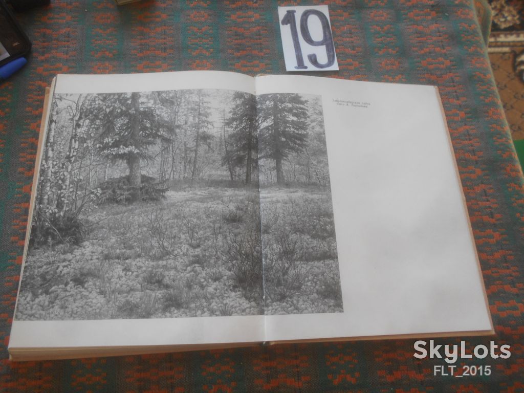 Картины природы  нашей Родины     1964 г. - фото фото фото 10