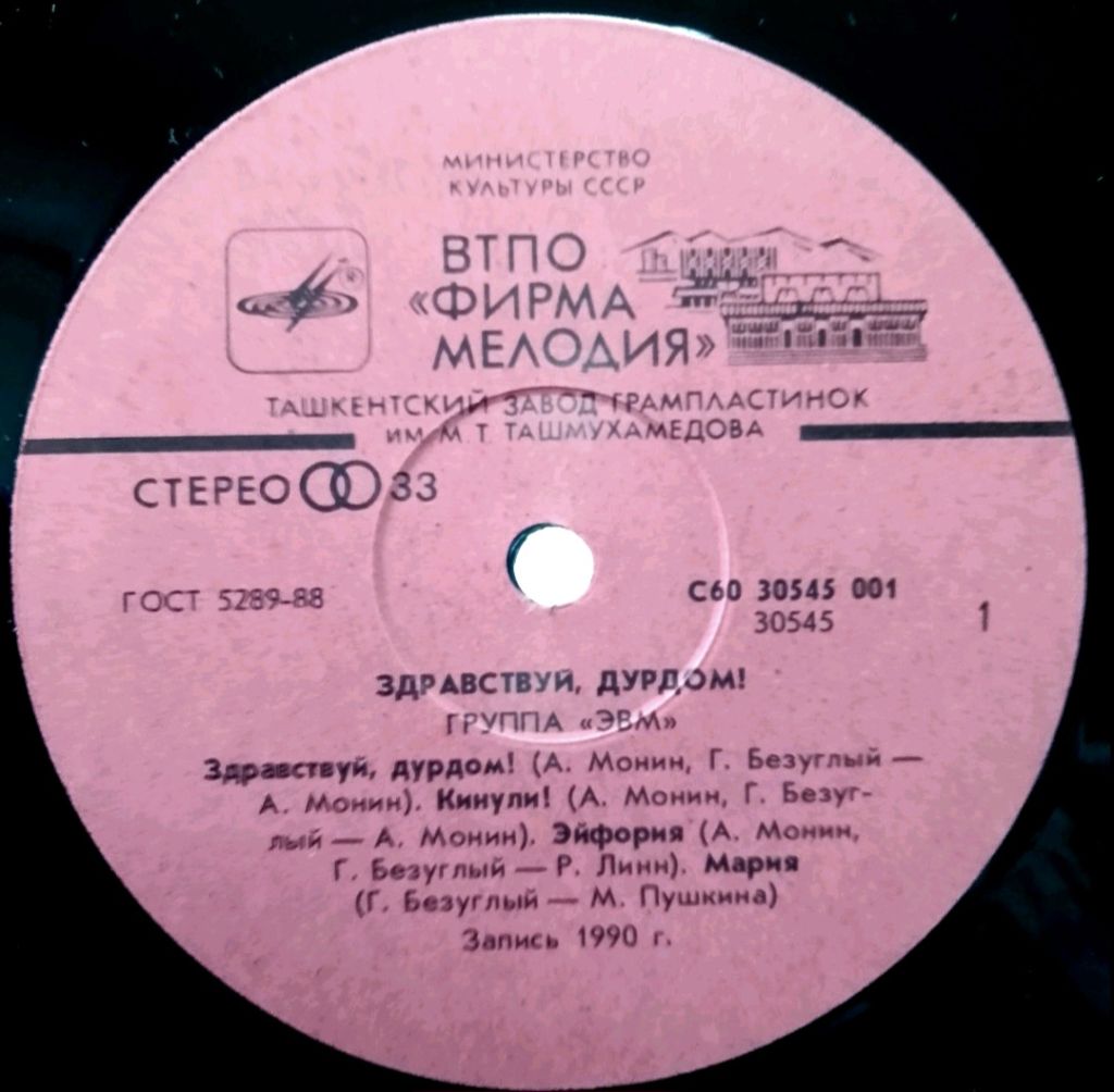 ЭВМ - Здравствуй Дурдом! - 1990.  (LP). 12. Vinyl. Пластинка. Ташкент. Rare. - фото фото фото 2