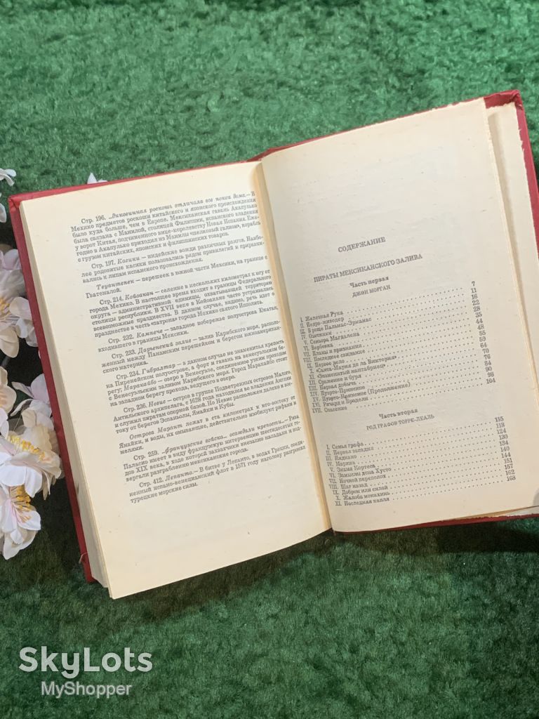 Книга историко-приключенческий роман «Пираты Мексиканского залива» Висенте Рива Паласио 1993 г.  (Н8253) - фото фото фото 7