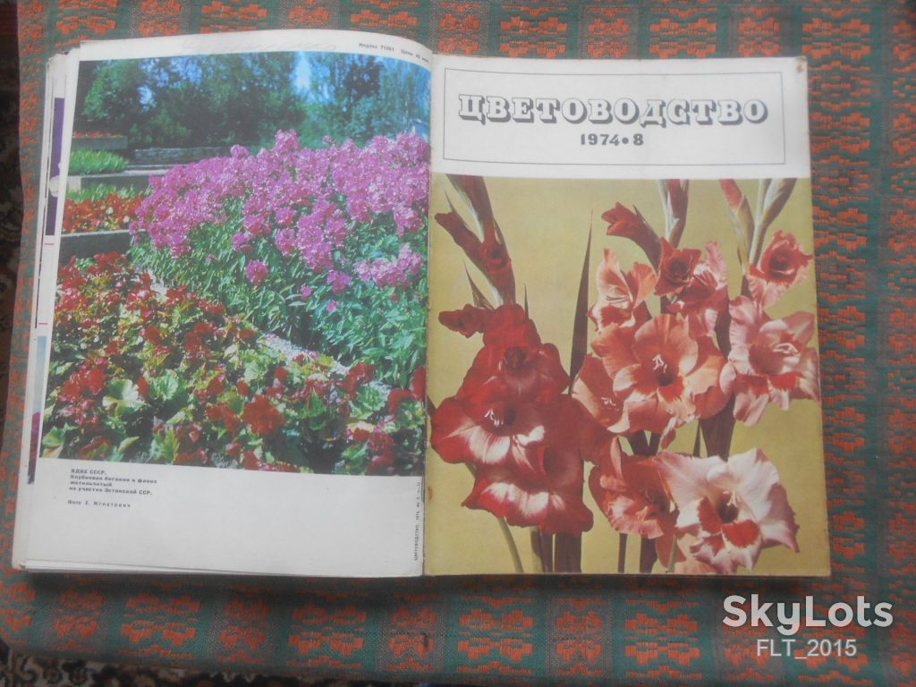 Цветоводство  1974 г.  Годовая - фото фото фото 8