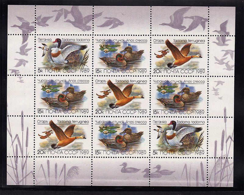 СССР  1989 г   MNH - ПТИЦЫ - фото фото фото 0