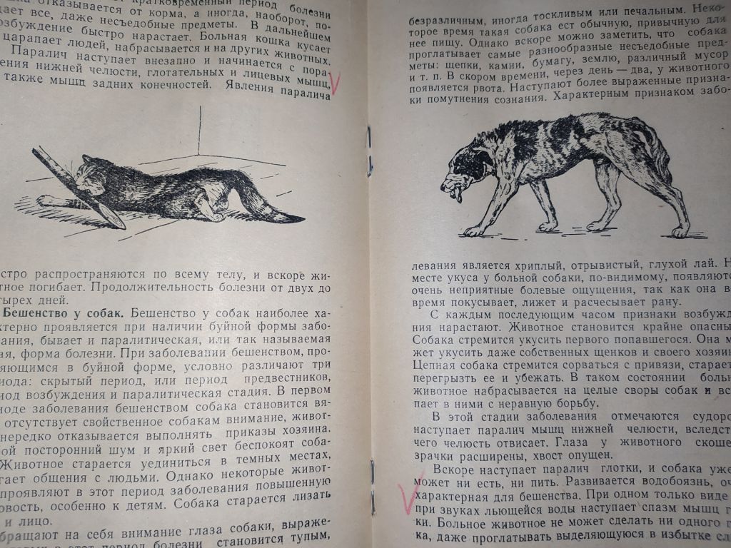 книга брошюра: БЕШЕНСТВО 1962г. - фото фото фото 4