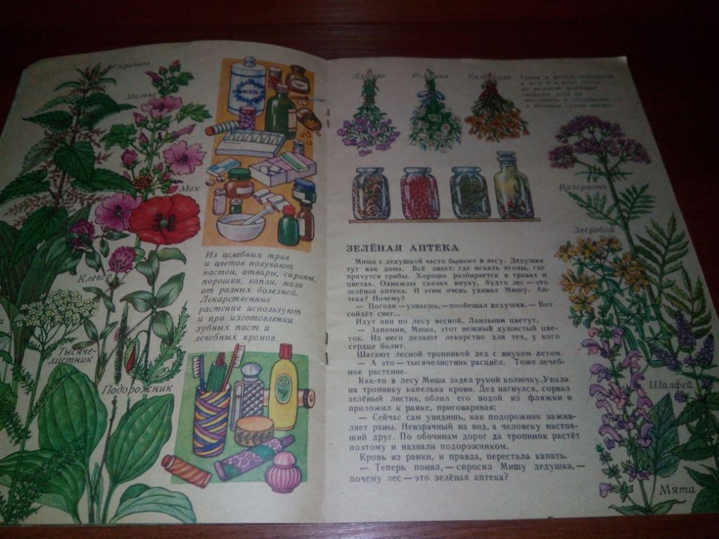 Борис Вовк ЦВЕТЫ  (Книжка-картинка) - фото фото фото 4