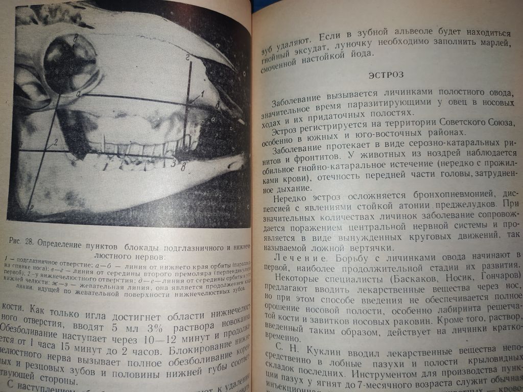 книга: ХИРУРГИЯ В ОВЦЕВОДСТВЕ 1959г. - фото фото фото 7